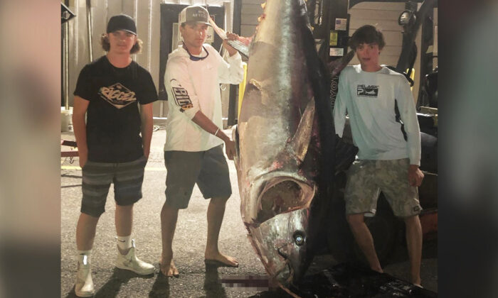 EE.UU. Jóvenes pescan atún de 318 kg tras una lucha de 7 horas