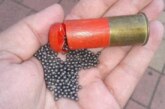 El Defensor del Pueblo Europeo cuestiona el procedimiento para prohibir el plomo en municiones