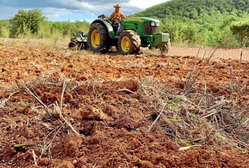 Cazadores que cultivan los montes para proteger los animales