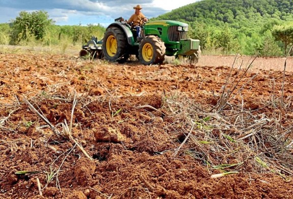 Cazadores que cultivan los montes para proteger los animales