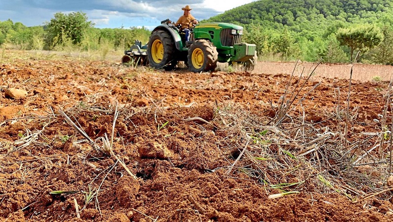 Cazadores que cultivan los montes para proteger los animales