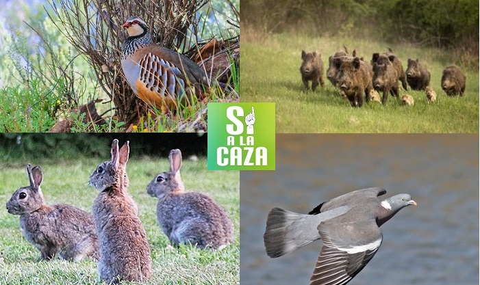 Los cazadores no bajan la guardia