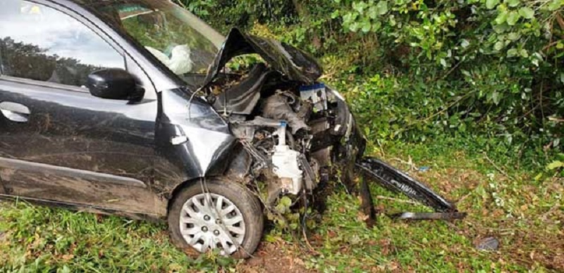 Un conductor, herido tras atropellar a un jabalí que cruzó la calzada