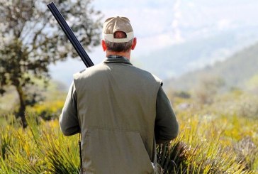 Castilla-La Mancha permitirá acceder a su territorio para el control de especies cinegéticas por SOBREABUNDANCIA