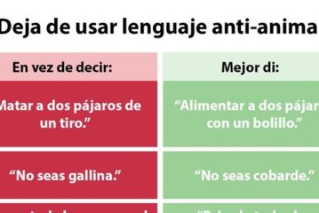 La nueva y absurda petición animalista: «Deja de usar el lenguaje anti-animal»