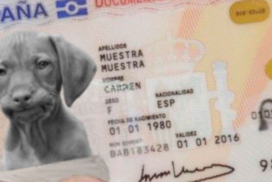 El Gobierno hará obligatorio un DNI electrónico con registro e ADN para animales de compañía