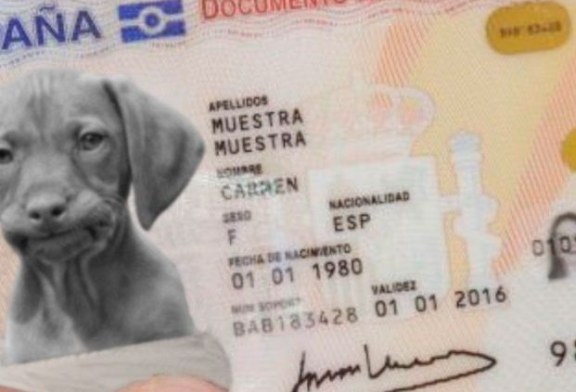 El Gobierno hará obligatorio un DNI electrónico con registro e ADN para animales de compañía