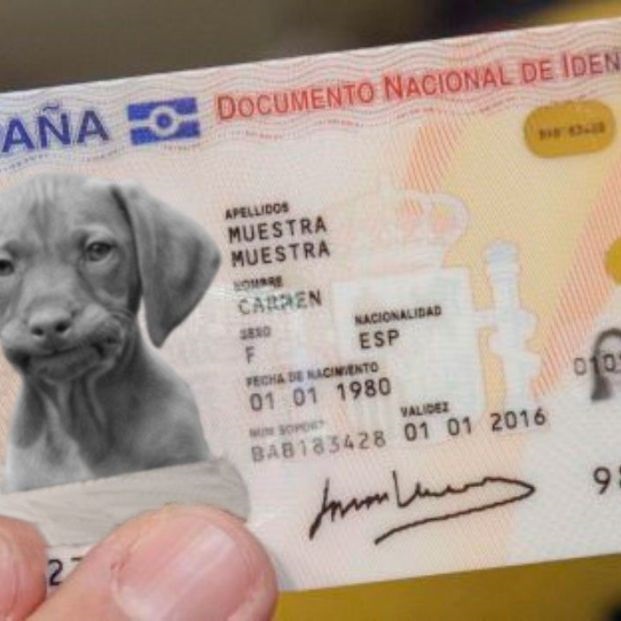 El Gobierno hará obligatorio un DNI electrónico con registro e ADN para animales de compañía