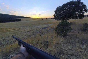 Cómo elegir un coto de caza