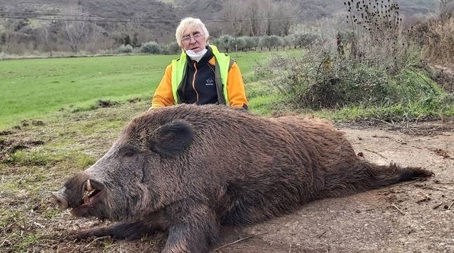 Gran jabalí de 150 kilos cazado en Tierra Estella