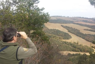 Alarma! La Unión Europea propone prohibir la caza en el 10% de su territorio. La RFEC traslada al Gobierno de España su rechazo