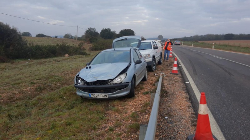 Un vehículo impacta contra un ciervo en la N-631, en Zamora