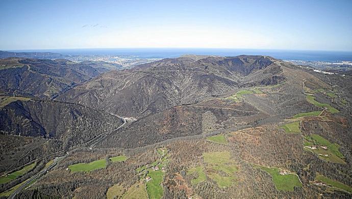 La Federación Navarra de Caza reclama una apuesta del Gobierno para recuperar el ecosistema perdido en el incendio de Bera