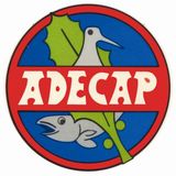 Adecap