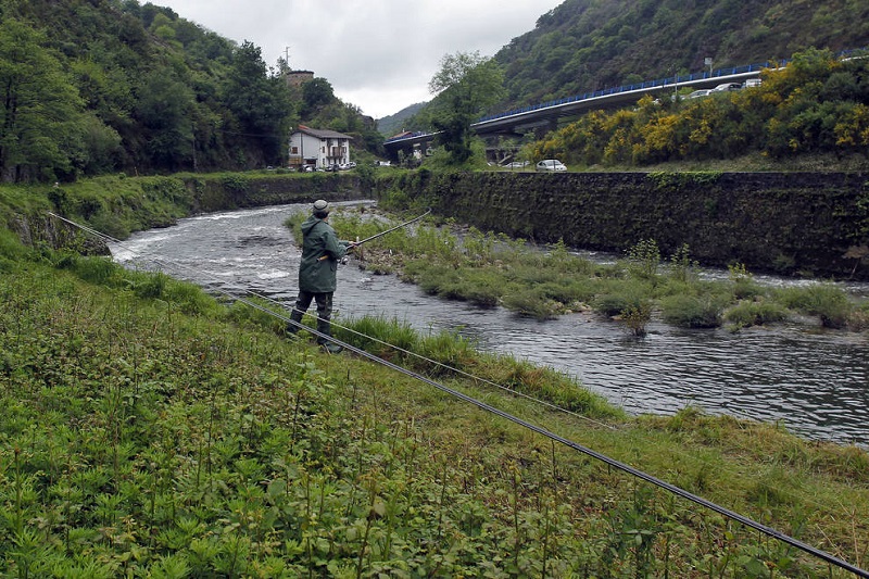 Navarra prohíbe la pesca de salmón para tratar de recuperar la especie, cuya situación es «crítica»