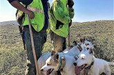 La Asociación Española de Rehalas presenta alegaciones a la propuesta de crear un sistema nacional de registros de proteccion animal