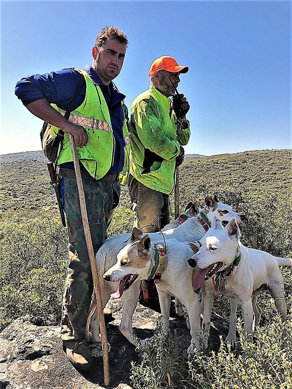 La Asociación Española de Rehalas presenta alegaciones a la propuesta de crear un sistema nacional de registros de proteccion animal