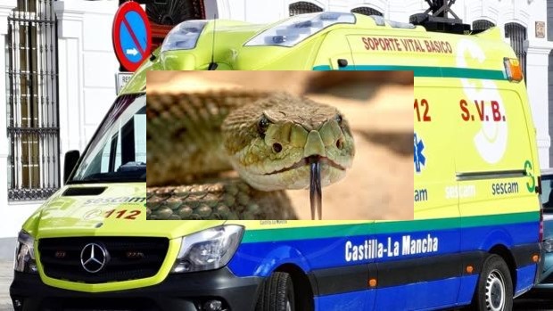 Ingresa en el hospital de Toledo un hombre por la mordedura de una serpiente