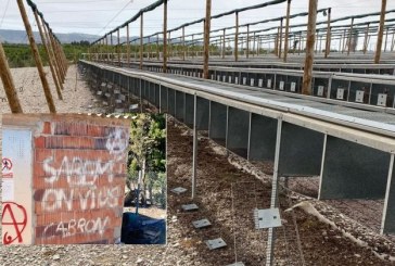 ¡Impunidad! Ante la pasividad judicial animalistas asaltan varias granjas de perdices