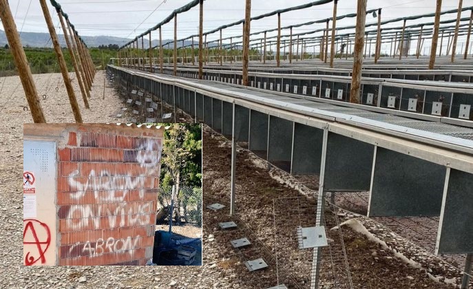 ¡Impunidad! Ante la pasividad judicial animalistas asaltan varias granjas de perdices