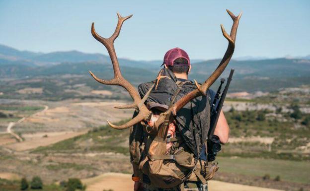 Dos denunciados en Palencia por la tenencia de una cabeza de ciervo macho sin acreditar su procedencia