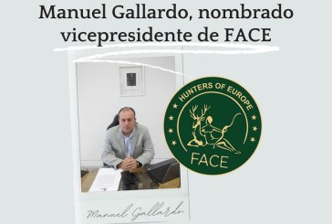 Manuel Gallardo, nombrado vicepresidente de FACE