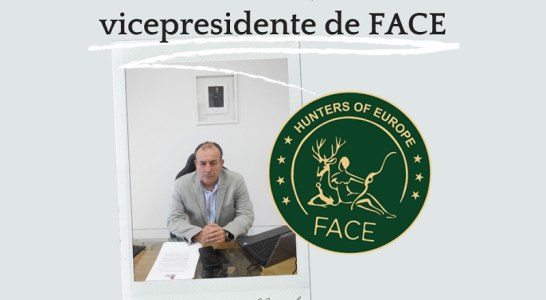 Manuel Gallardo, nombrado vicepresidente de FACE