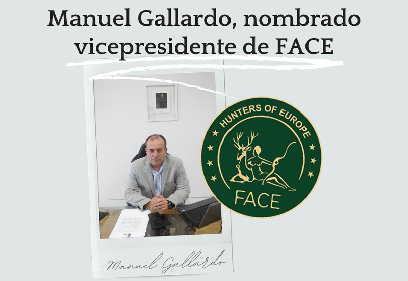 Manuel Gallardo, nombrado vicepresidente de FACE