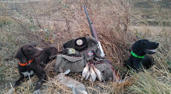 El Gobierno reduce a tres el número de fallecidos en 2020 por accidentes de caza