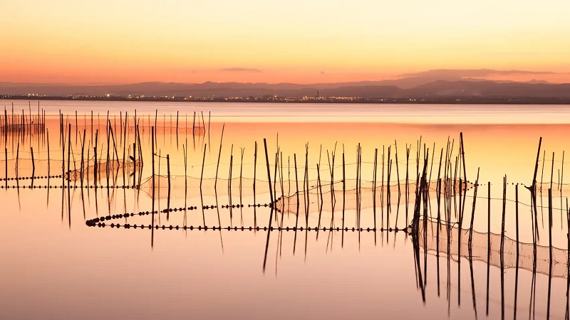 Paliar la contaminación en l’Albufera con tacos para cartuchos biodegradables