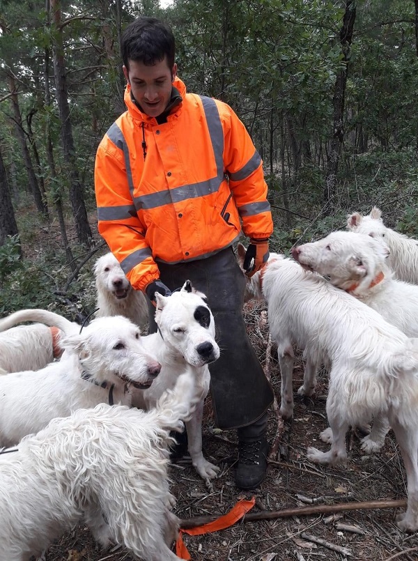 Navarra: la asociación española de Rehalas demanda un uso racional y eficiente de los perros en la orden de vedas 2021/2022