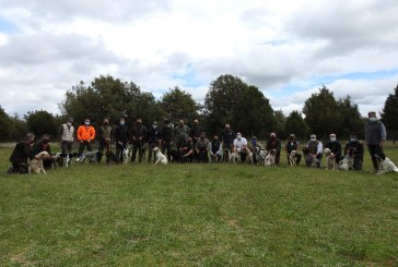 Comienza en Castillejo de Robledo (Soria) el Curso de Instructor-Adiestrador de Perros de Caza 2021