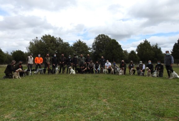 Comienza en Castillejo de Robledo (Soria) el Curso de Instructor-Adiestrador de Perros de Caza 2021