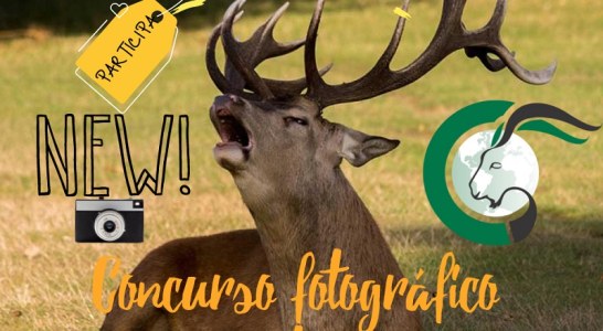 Concurso fotográfico Cinegética 2021