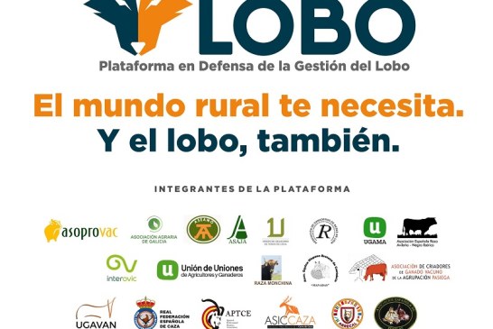 Ganaderos y asociaciones del mundo rural unen fuerzas para reclamar una convivencia sostenible con el lobo ibérico