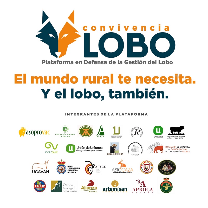 Ganaderos y asociaciones del mundo rural unen fuerzas para reclamar una convivencia sostenible con el lobo ibérico