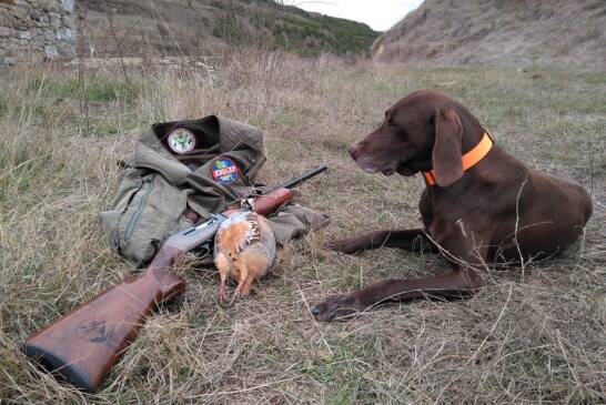 Los estados miembros tumban la intención de la UE de prohibir la caza en el 10% del territorio europeo