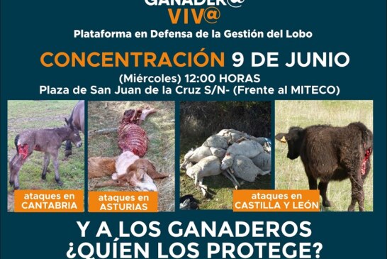 Movilización contra la protección del lobo el 9 de junio en Madrid