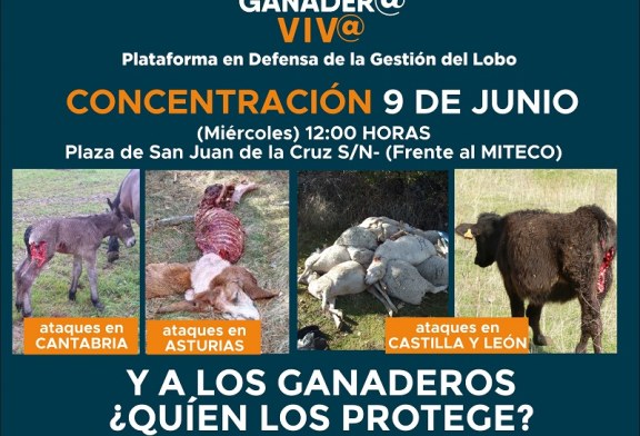 Movilización contra la protección del lobo el 9 de junio en Madrid