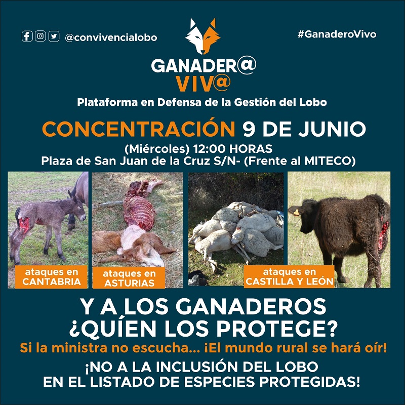 Movilización contra la protección del lobo el 9 de junio en Madrid