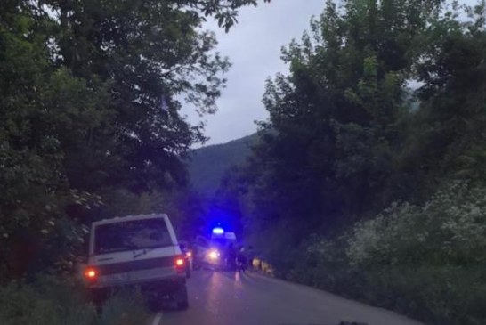 Grave ataque de un oso a una mujer de 75 años en Cangas del Narcea