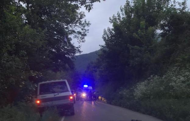 Grave ataque de un oso a una mujer de 75 años en Cangas del Narcea