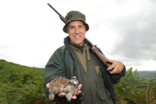 Las federaciones de caza llevarán a los tribunales a las CCAA que decidan prohibir arbitrariamente la caza de la tórtola