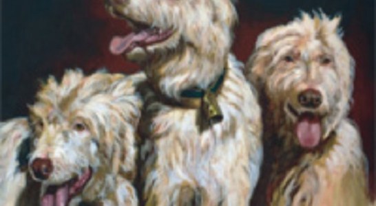 Dime que perro tienes y te diré que cazador eres