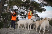 Carta a los rehaleros: No, no hay que responder las solicitudes de información de Galgos del Sur