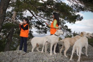 Carta a los rehaleros: No, no hay que responder las solicitudes de información de Galgos del Sur