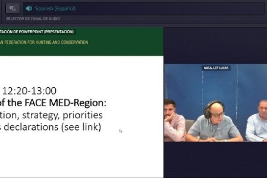 La RFEC traslada a FACE su preocupación por la deriva conservacionista anticaza de la Comisión Europea