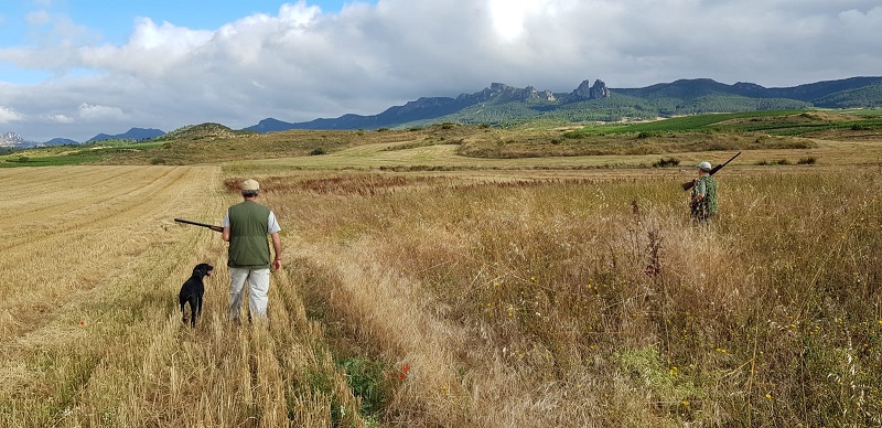 El Gobierno riojano propone la caza nocturna del conejo para minimizar los daños en cultivos