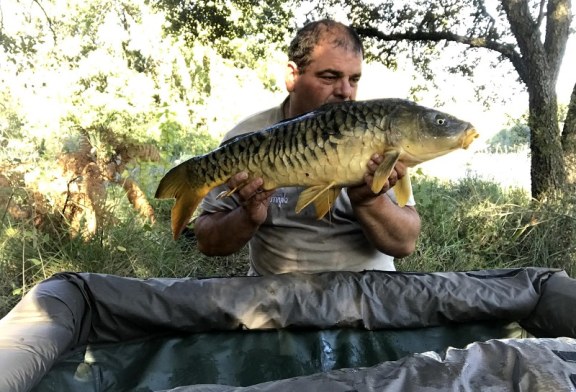 La pesca de carpas y barbos entra en su mejor época