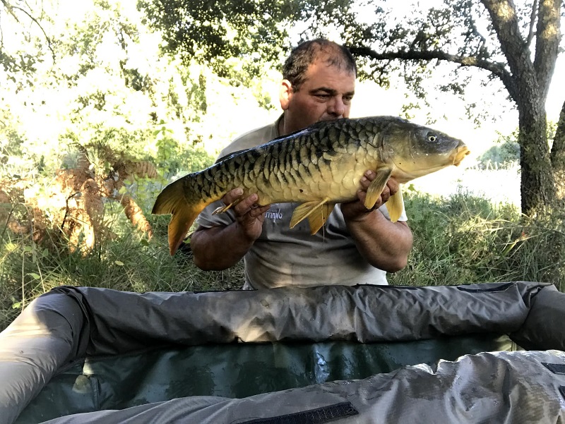 Jara y Sedal  La pesca de la carpa 